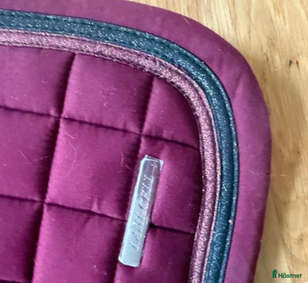 Schabrak & Vojlockar hästutrustning till salu: Vill du va lite extra fin på tävling? i Strömstad - Annons 3