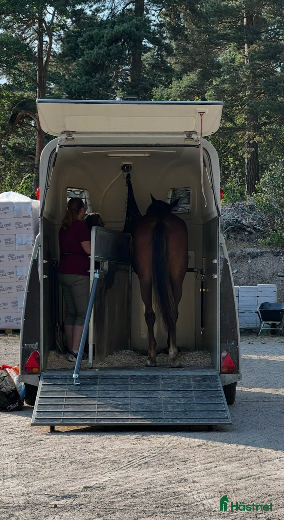 Hästtransporter  fordon & transport till salu: Henra Couronne XL i Munsö - Annons 6