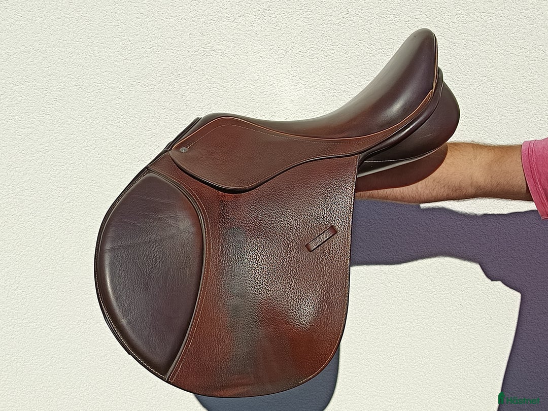 Sadlar hästutrustning till salu: Sadel i Södra Sandby - Annons 1