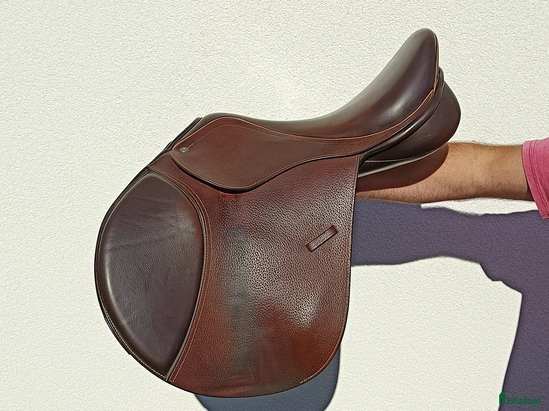 Sadlar hästutrustning till salu: Sadel i Södra Sandby - Annons 1