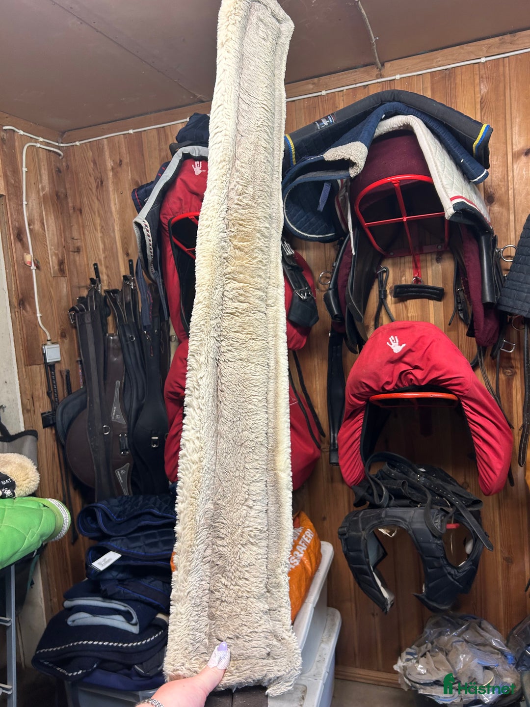 Övrig Hästutrustning hästutrustning till salu: Blandat säljes i Lammhult - Annons 3