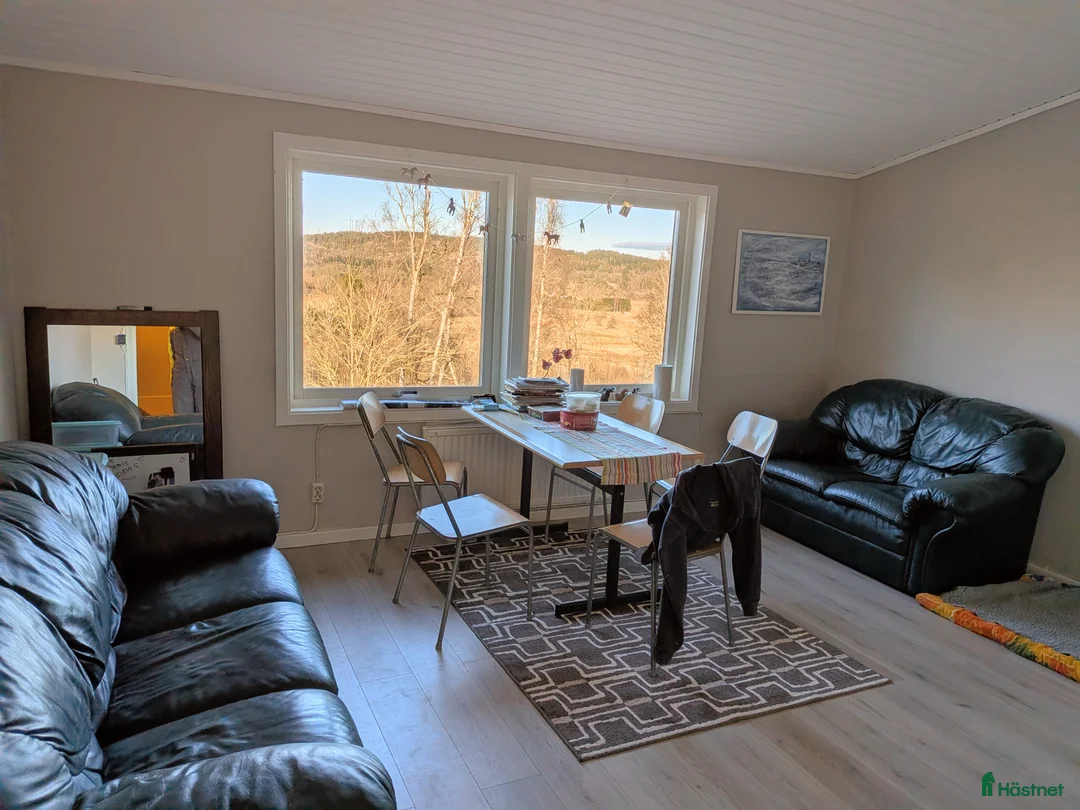  stallplats finnes: Stallplats finns i Kungsbacka - Annons 6