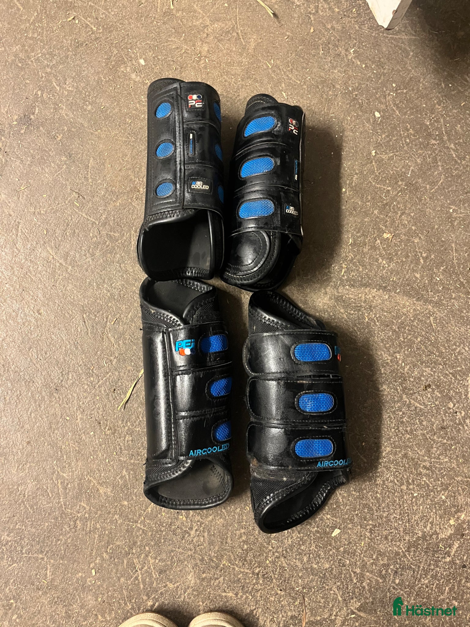 Benskydd hästutrustning Terräng benskydd - Annons 3