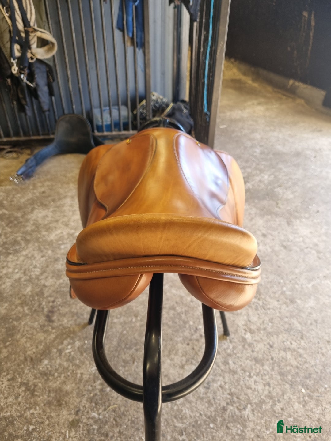 Sadlar hästutrustning till salu: Frank Bains reflex  i Istorp - Annons 5