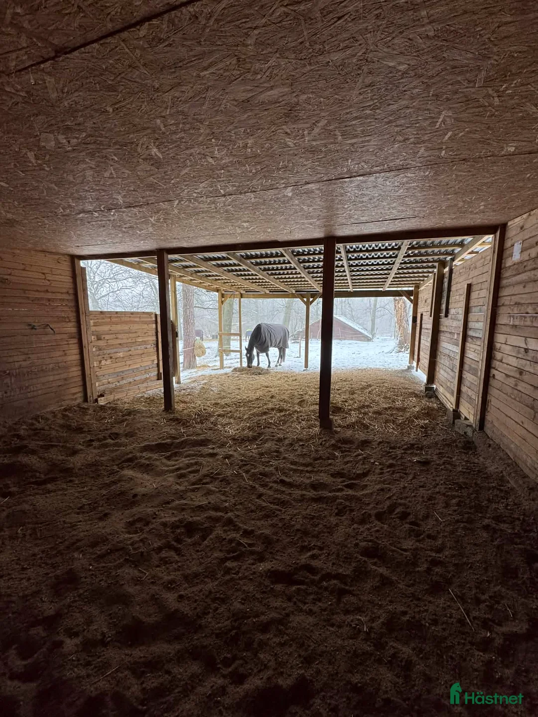 stallplats finnes: Plats finnes på lösdrift i Kungsängen  i Kungsängen - Annons 5