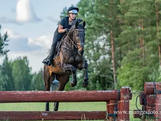 hästar Underbar häst med största hjärtat!🌸 - Annons 2