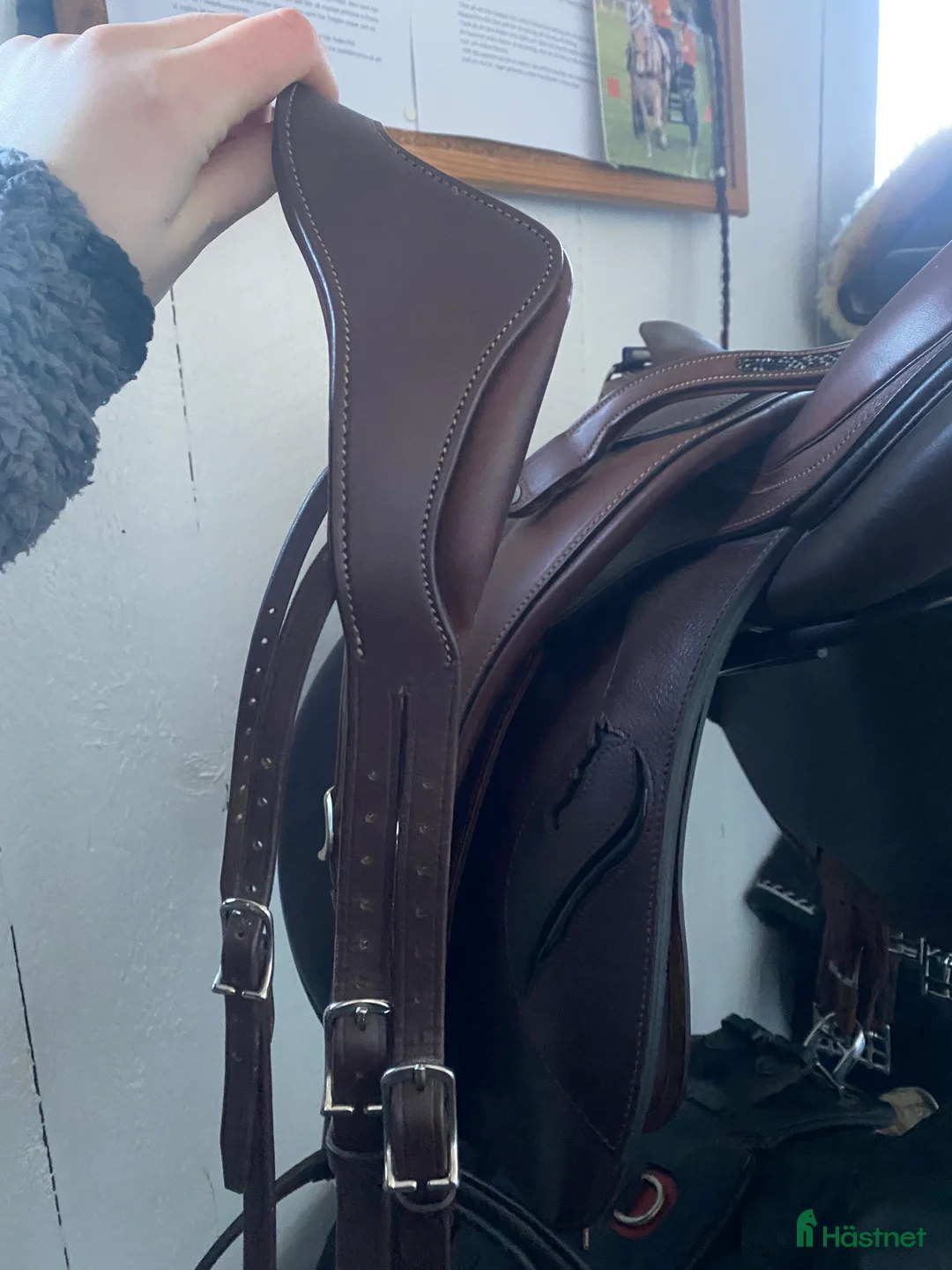 Träns hästutrustning till salu: Antarés nackstycke + nosgrimma  - Annons 2