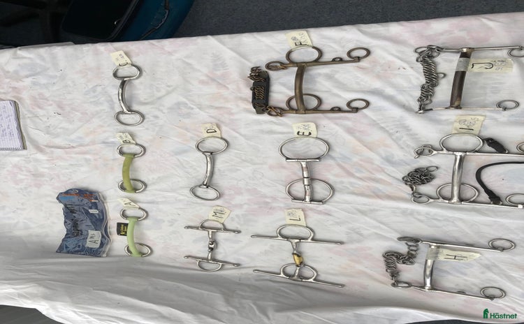 Bett hästutrustning till salu i Vara - Annons 1