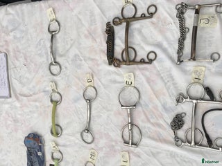 Bett hästutrustning till salu: Bett från 120-160 i Vara - Annons 19