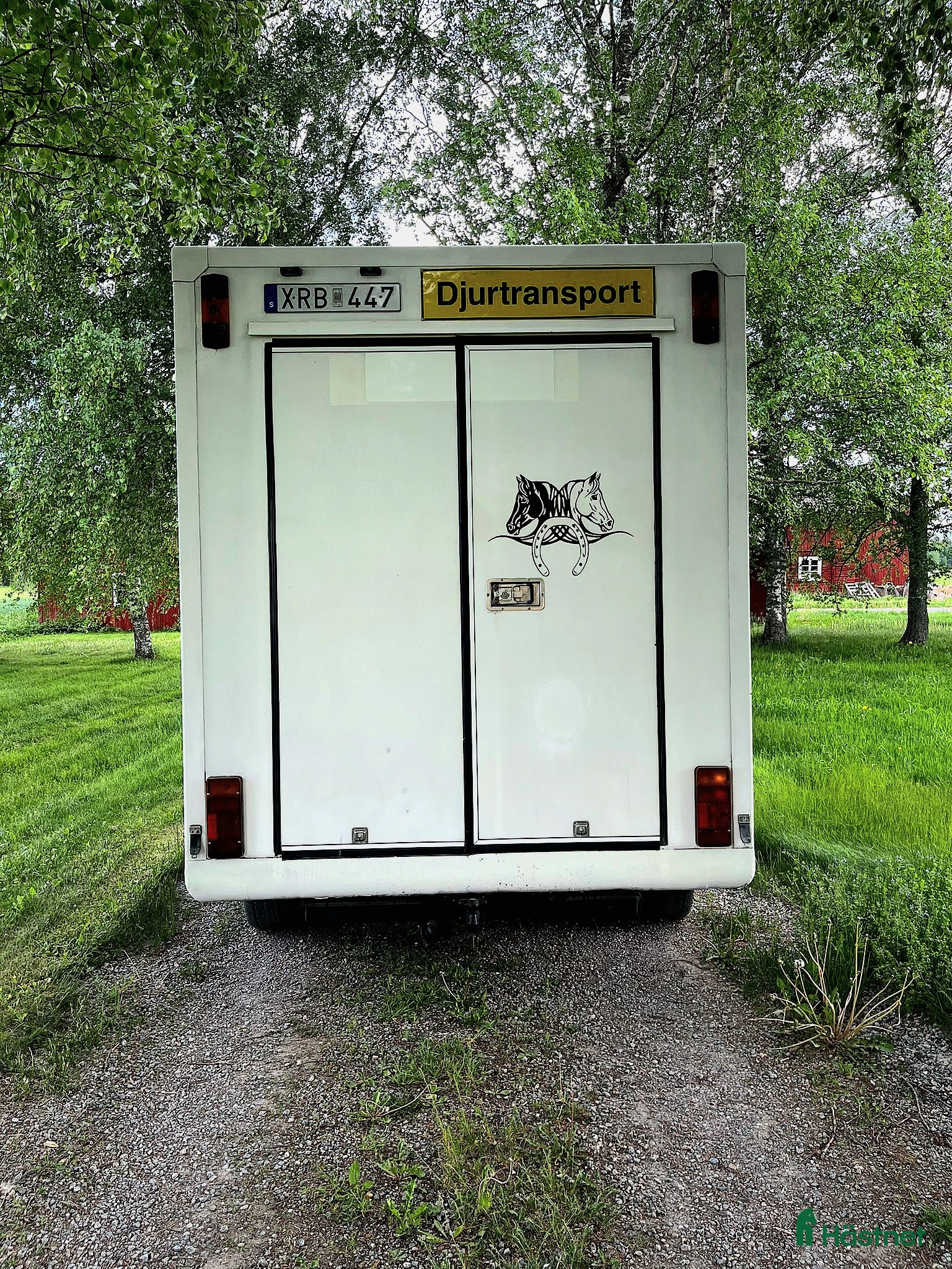 Hästlastbilar  fordon & transport till salu: Fräsch b kortare med bodelning  - Annons 4