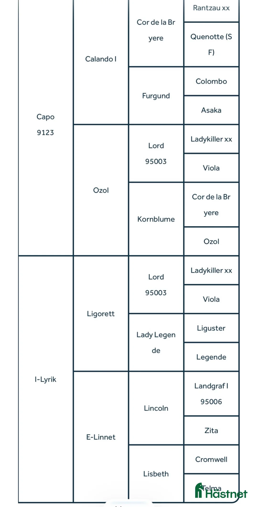 Allround hästar till salu: Het och speciell men med stort hjärta - Annons 2