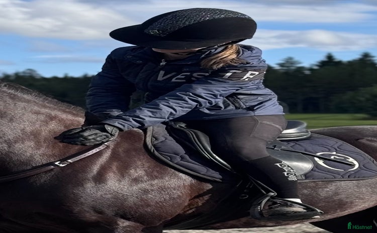 Jackor & Kavajer ryttarutrustning till salu i Frösön - Annons 13