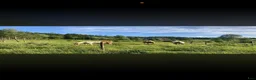  stallplats finnes: stallplats  - Annons 4