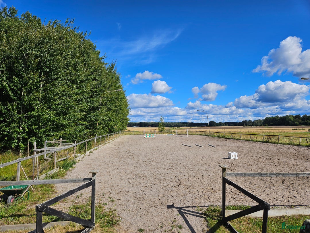  stallplats finnes: Lösdrift med egen box i Ärla - Annons 1
