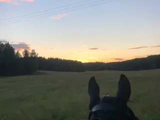 stallplats Stallplats för inackordering, Norrköping-Åby i Åby - Annons 23