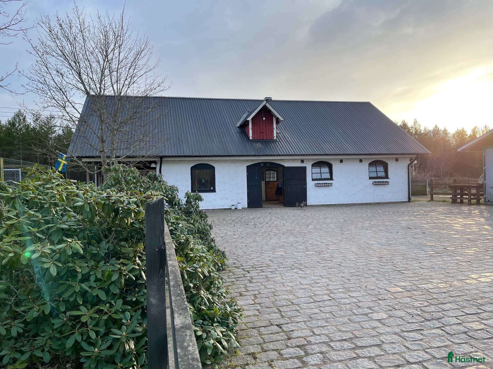  stallplats Box ledig  - Annons 4
