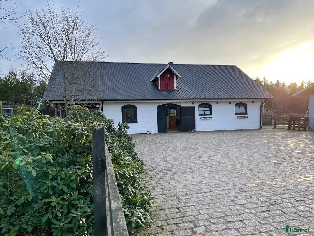  stallplats finnes: Box ledig  - Annons 1