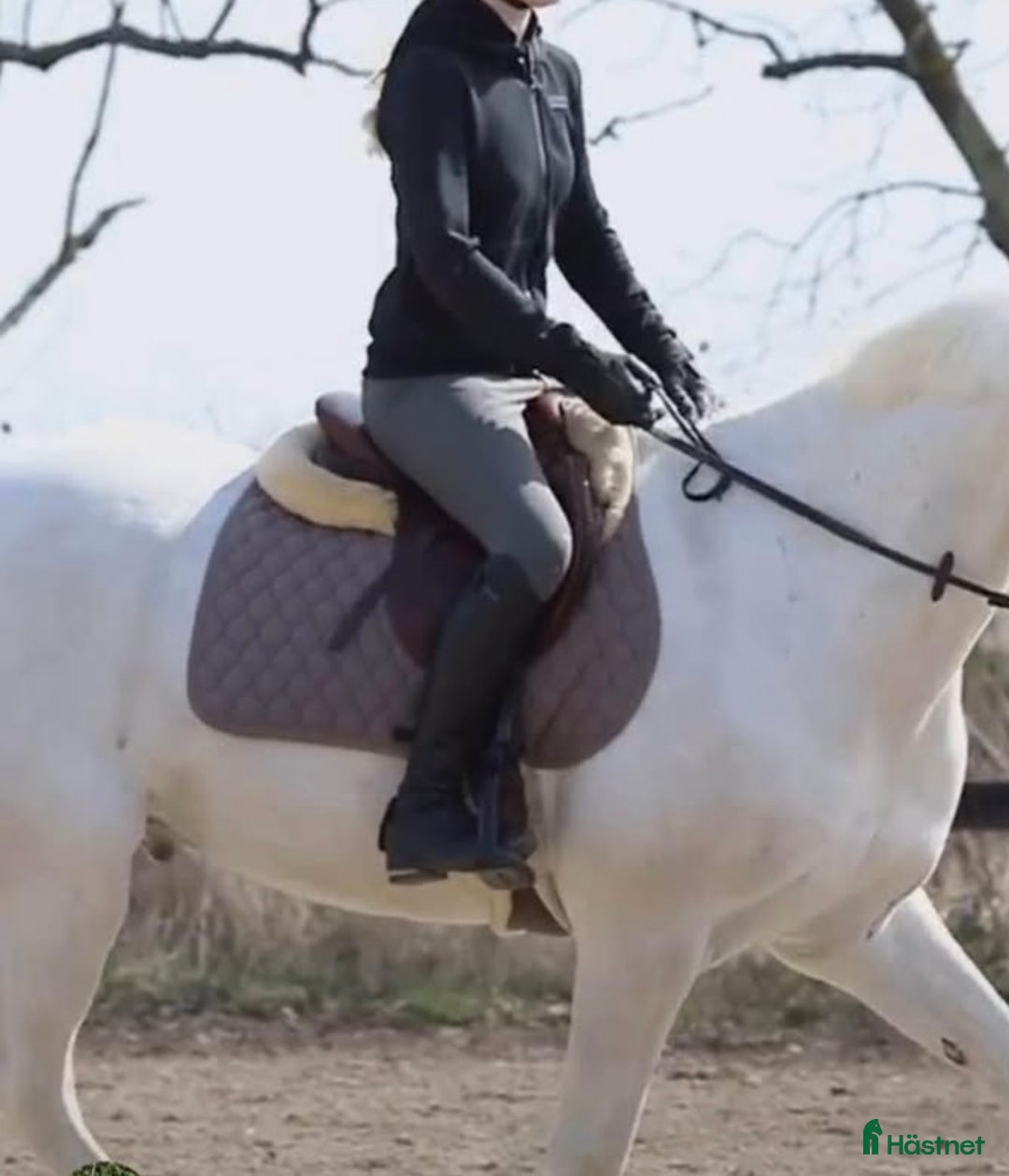 Schabrak & Vojlockar hästutrustning till salu: CT set huva och schabrak i Viken - Annons 3