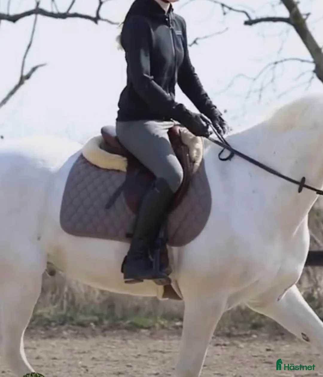 Schabrak & Vojlockar hästutrustning till salu: CT set huva och schabrak i Viken - Annons 3