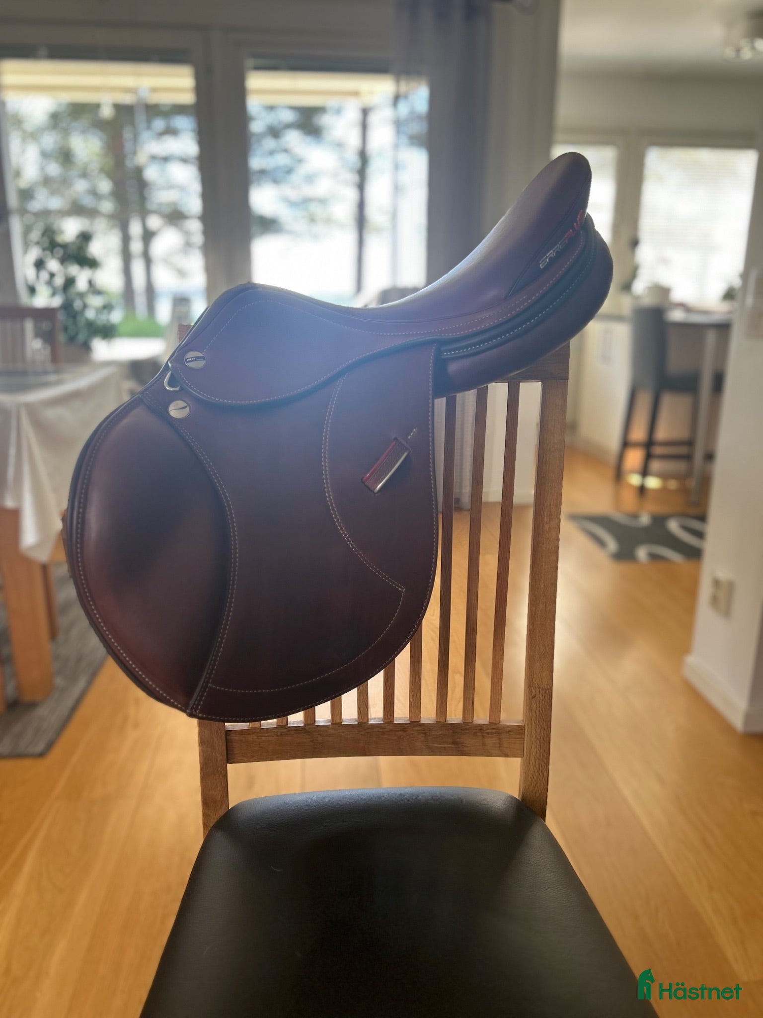 Sadlar hästutrustning Erreplus JF Junior 16” - Annons 4