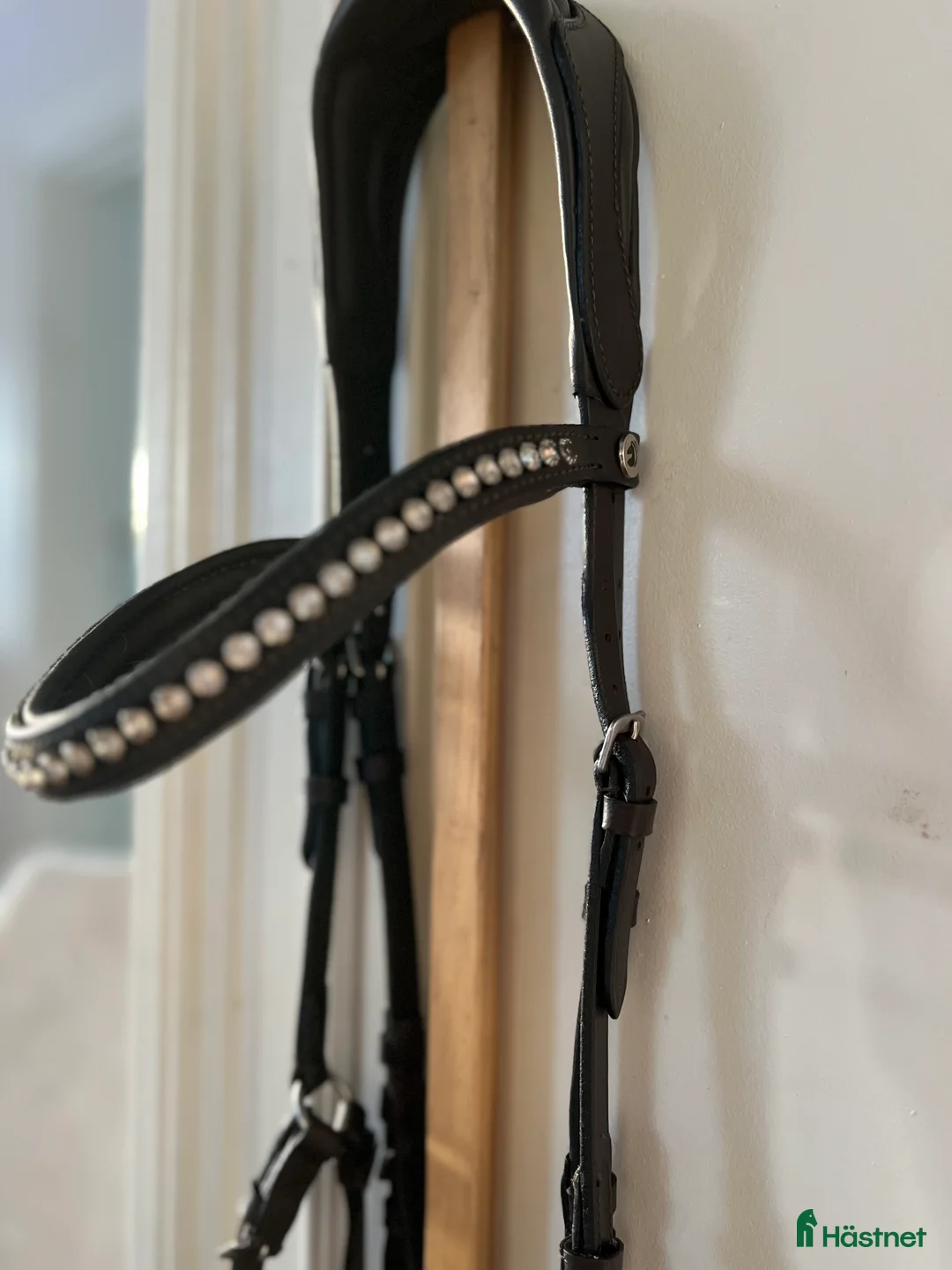 Träns hästutrustning till salu: Chester träns+tyglar i Bollnäs - Annons 4