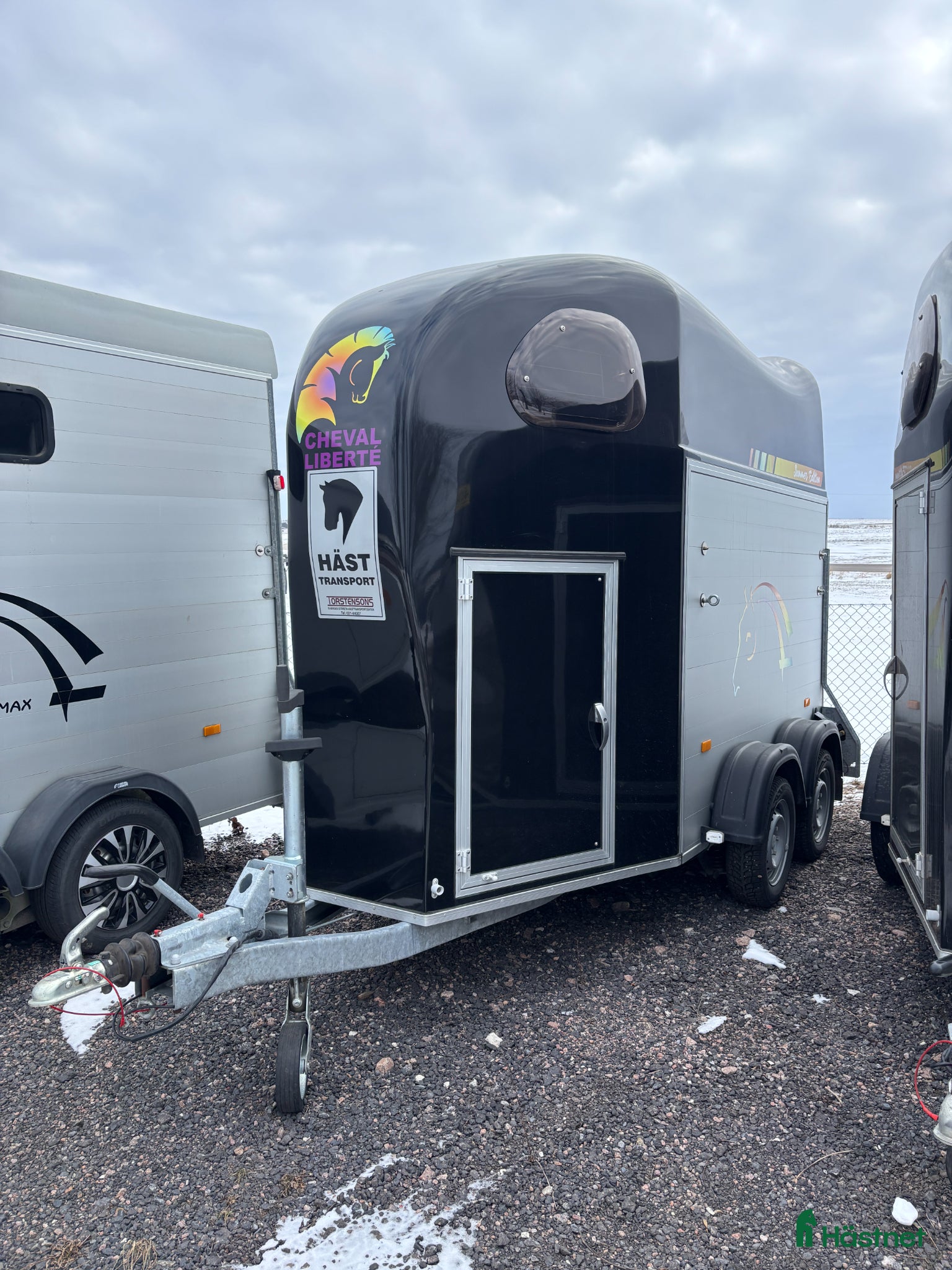 Hästtransporter  fordon & transport till salu: Cheval Liberté - HORSEPARTNER - Annons 5