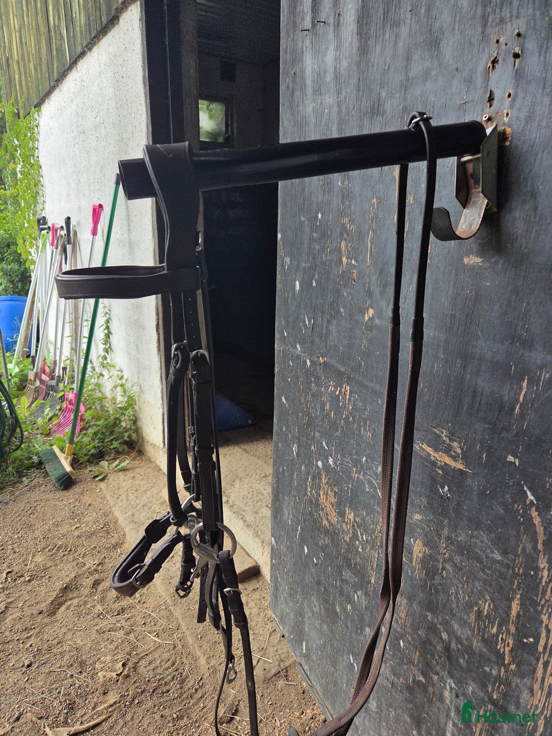 Träns hästutrustning till salu: Dyonträns i Nykvarn - Annons 1