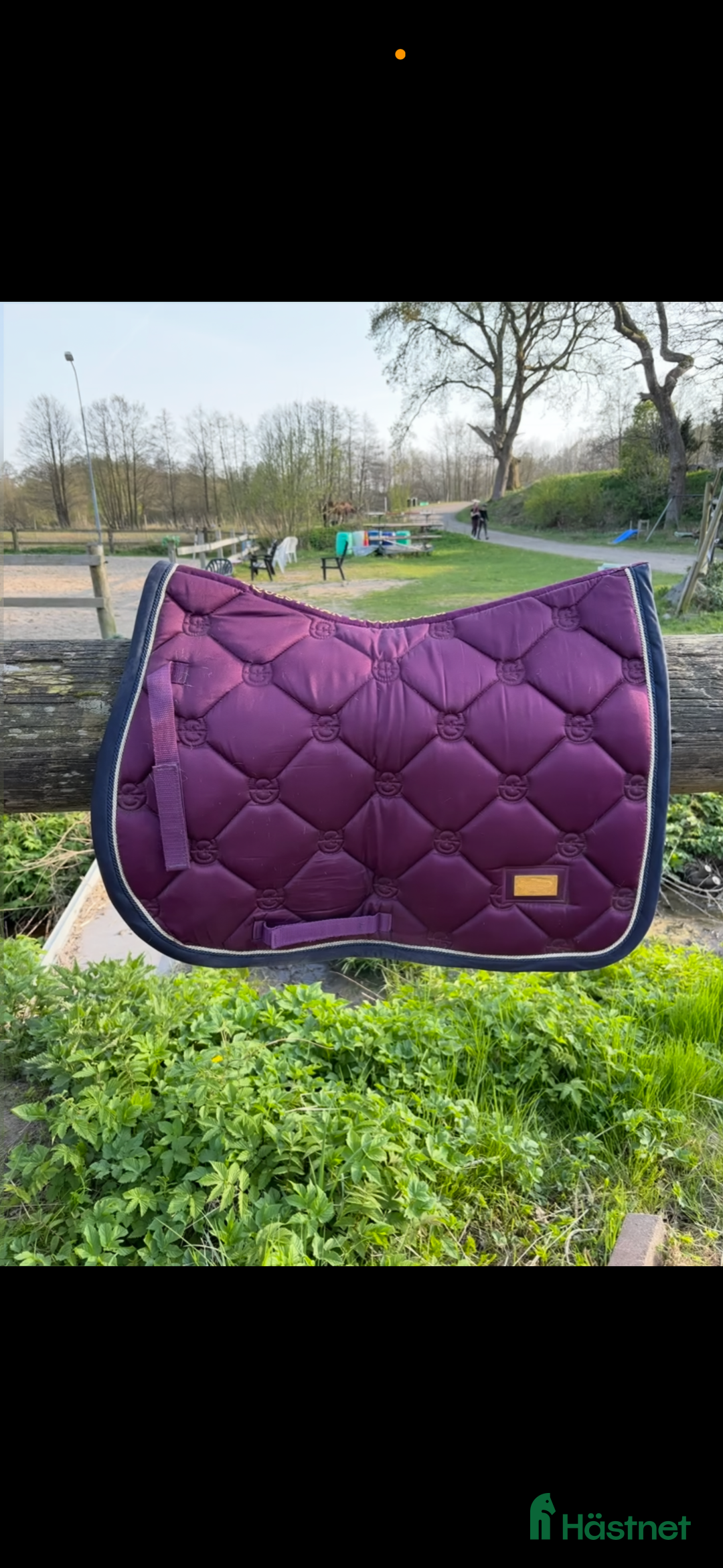 Schabrak & Vojlockar hästutrustning till salu: Lila equestrian Stockholm schabrak i Öjersjö - Annons 2