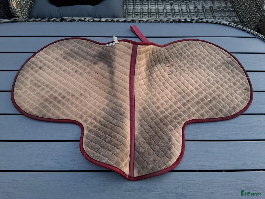 Schabrak & Vojlockar hästutrustning till salu: Diverse schabrak, paddar & vojlockar i Ljungbyholm - Annons 18