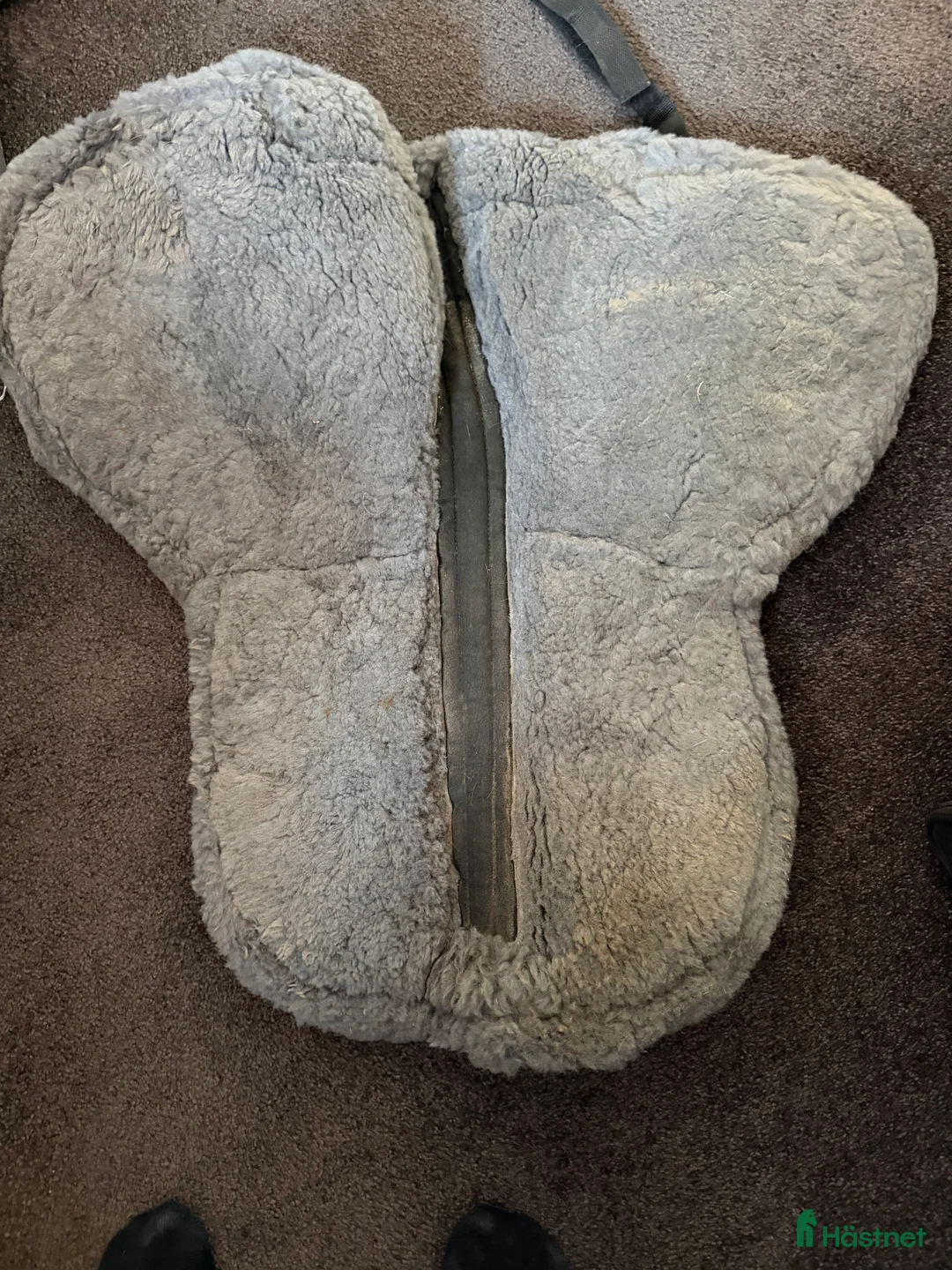 Schabrak & Vojlockar hästutrustning till salu: Schabrak märket Gold Medal storlek L - Annons 3