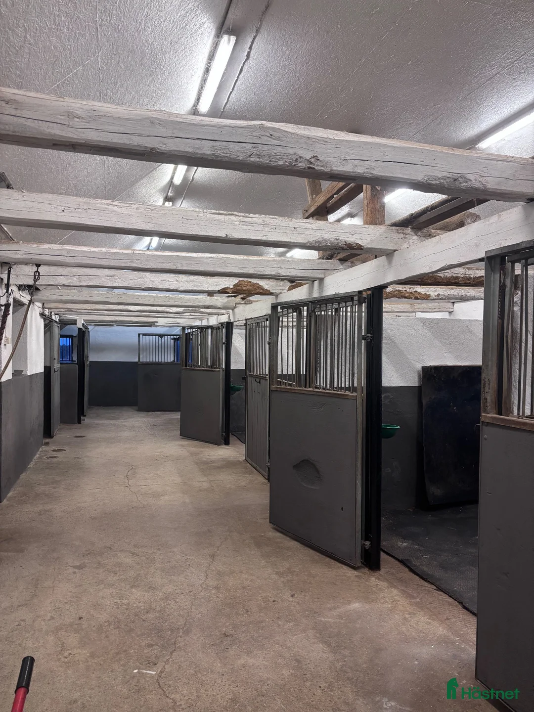  stallplats finnes: Stallplats finnes i litet stall i Tågarp  - Annons 2