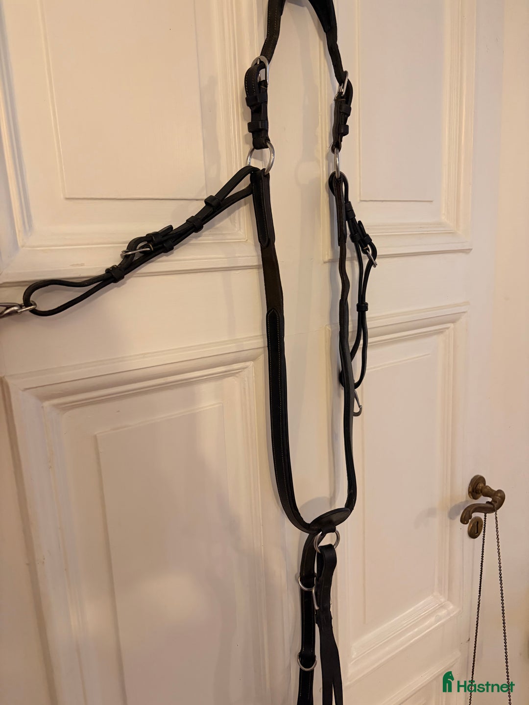 Träns hästutrustning till salu: Dyon förbygel  i Mölle - Annons 1