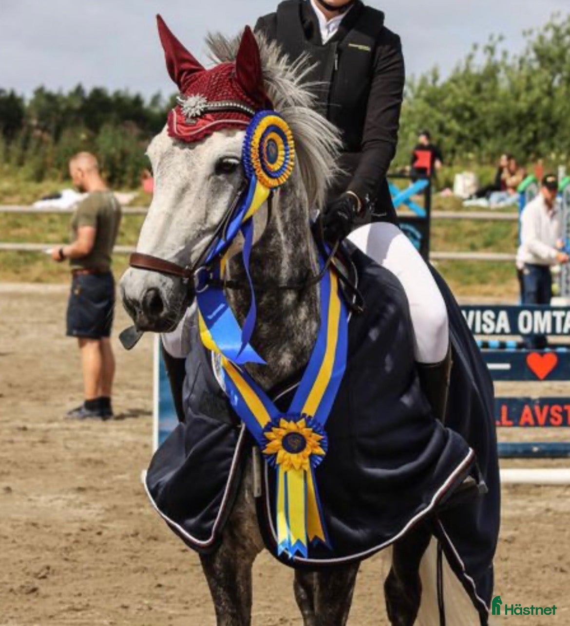  hästar Hopptalang med ett hjärta av guld - Annons 2