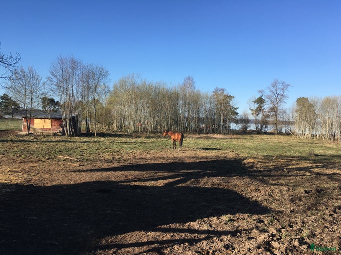 Galleribild {{count}}