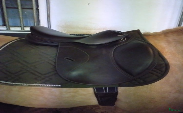 Sadlar hästutrustning till salu i Sankt OLOF - Annons 6