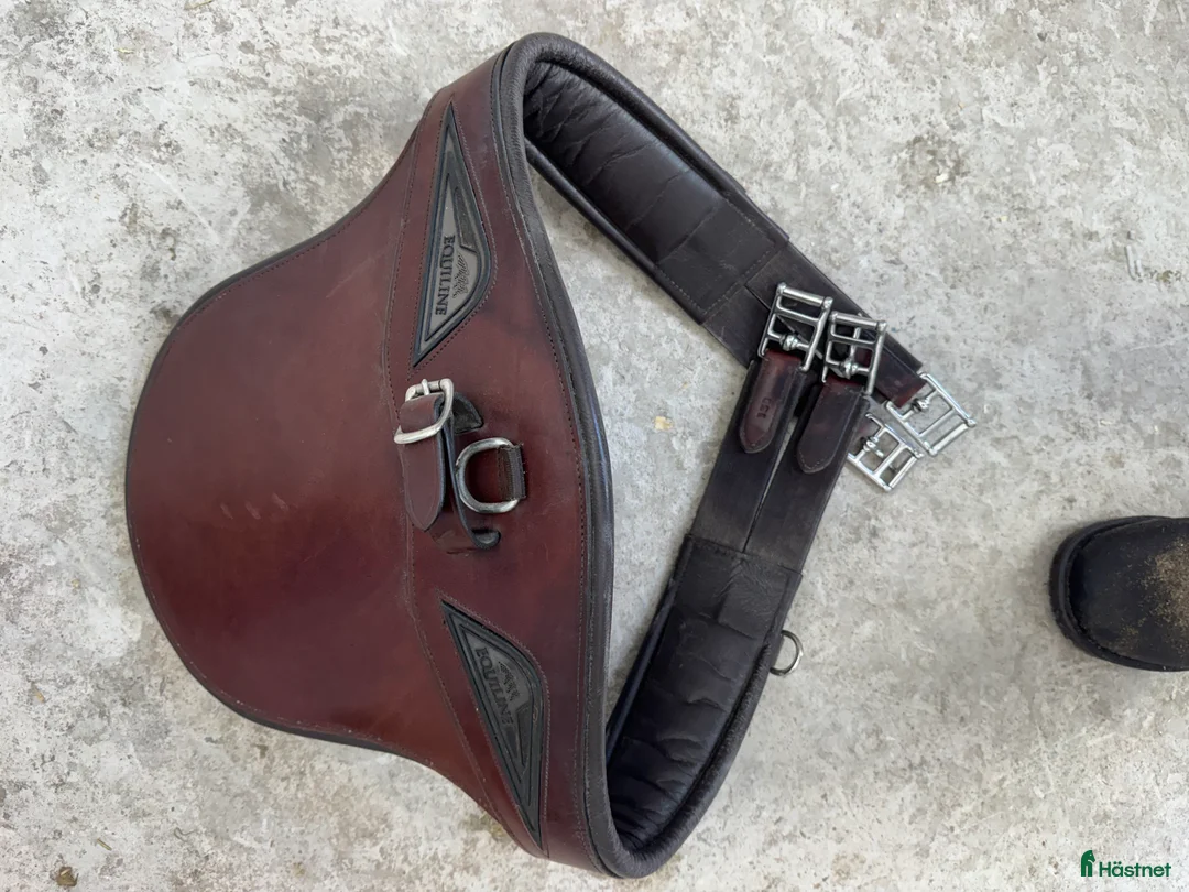 Sadeltillbehör hästutrustning till salu: Equiline  - Annons 3