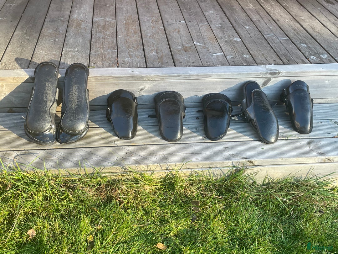 Övrig Travutrustning trav till salu: Knä och bakskydd  i Skattkärr - Annons 3