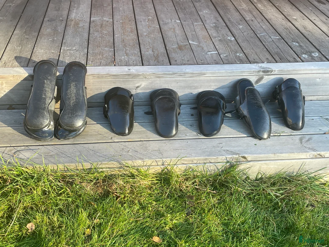 Övrig Travutrustning trav till salu: Knä och bakskydd  i Skattkärr - Annons 3