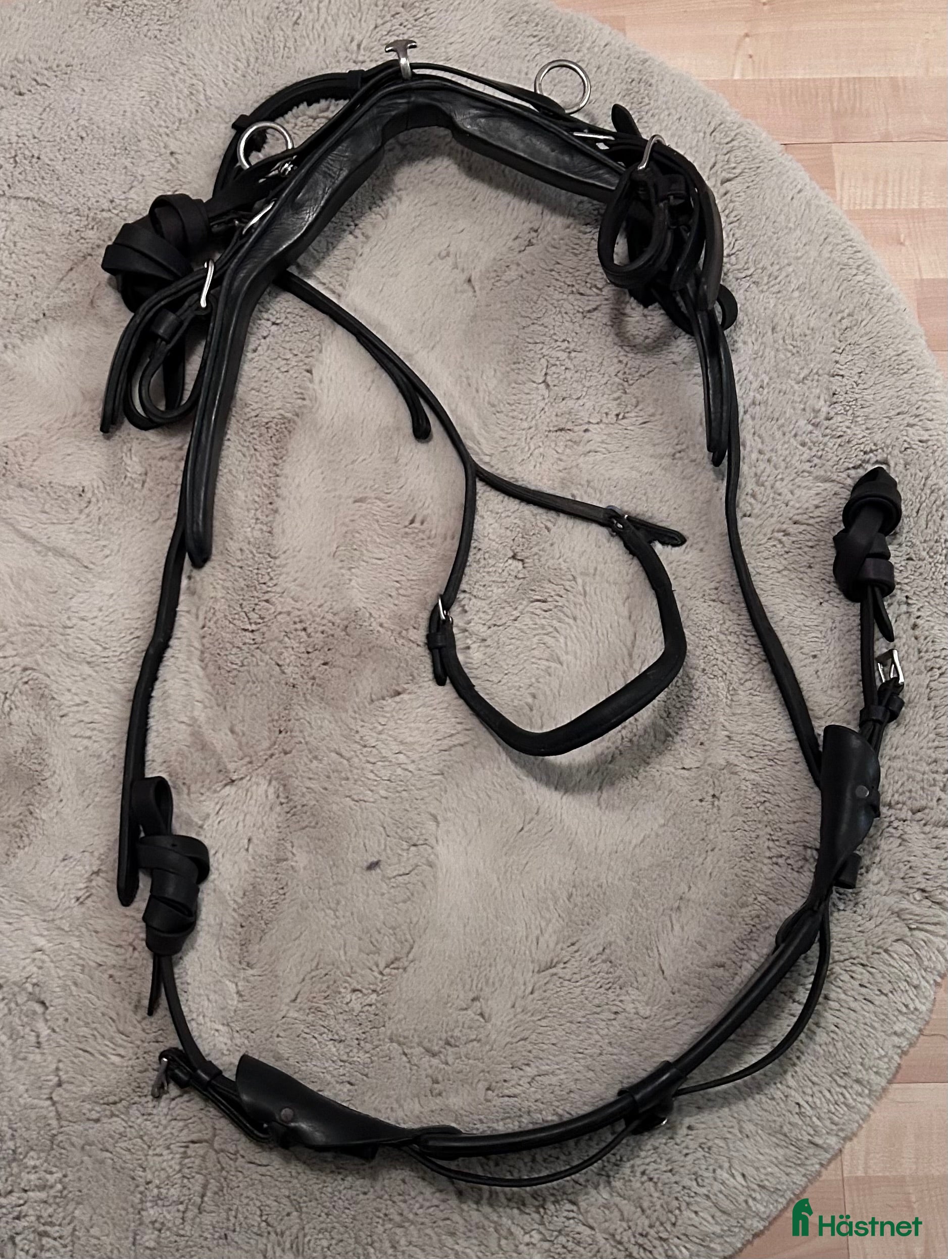 Travselar trav till salu: Remsele till ponny i Förslöv - Annons 6