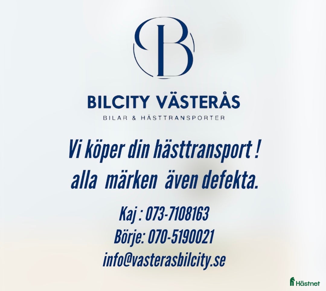 Hästtransporter  fordon & transport till salu: Vi köper din hästtransport!  i Västerås - Annons 1
