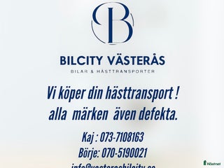 Hästtransporter fordon & transport till salu: Vi köper din hästtransport! i Västerås - Annons 2
