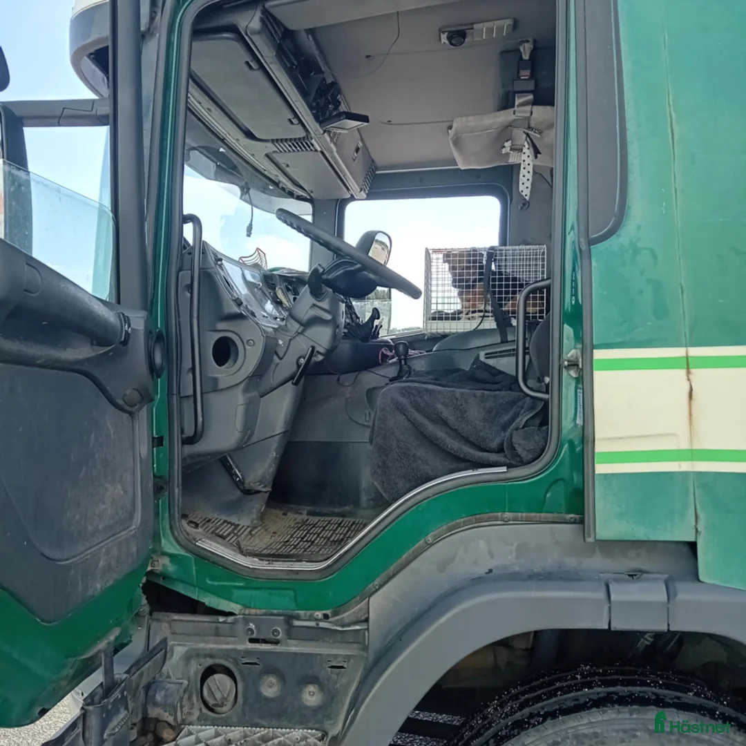 Hästlastbilar  fordon & transport till salu: Scania med flexibel inredning  i Teckomatorp - Annons 3