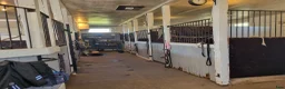  stallplats finnes: Lösdrift för valack - Annons 2