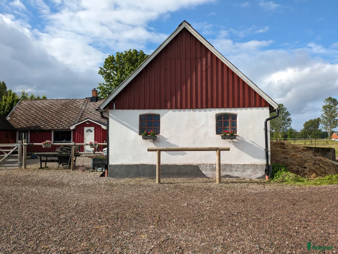  stallplats finnes: 1 ledig plats på underbar lösdrift  i Hörby - Annons 26
