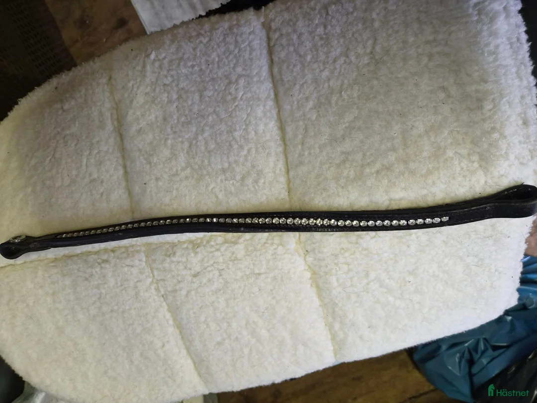 Träns hästutrustning till salu: 2 pannband 43cm. - Annons 1