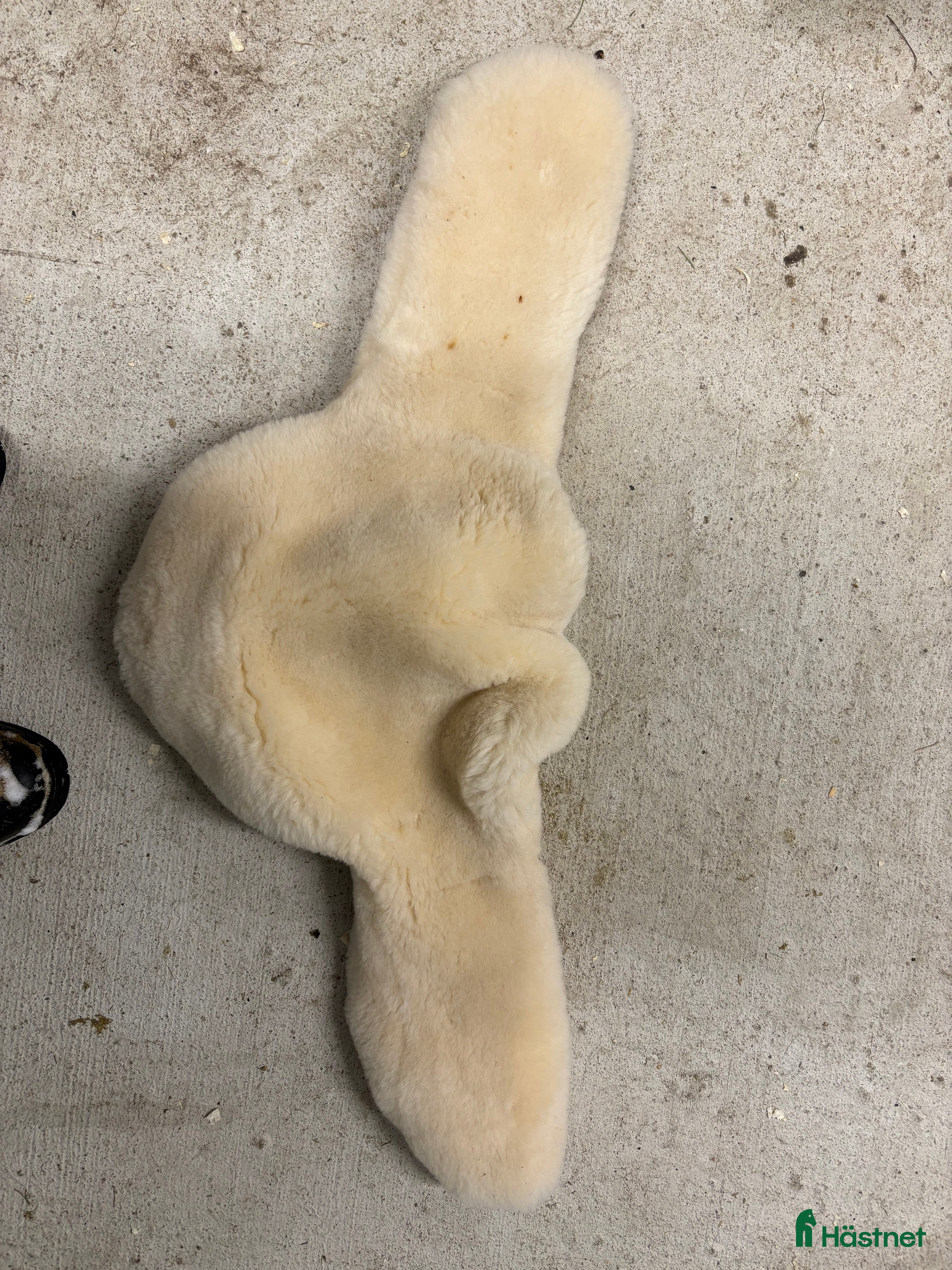 Övrig Ryttarutrustning ryttarutrustning till salu: Förbygel, fårskinnstunnel, stigläder i Vetlanda - Annons 2