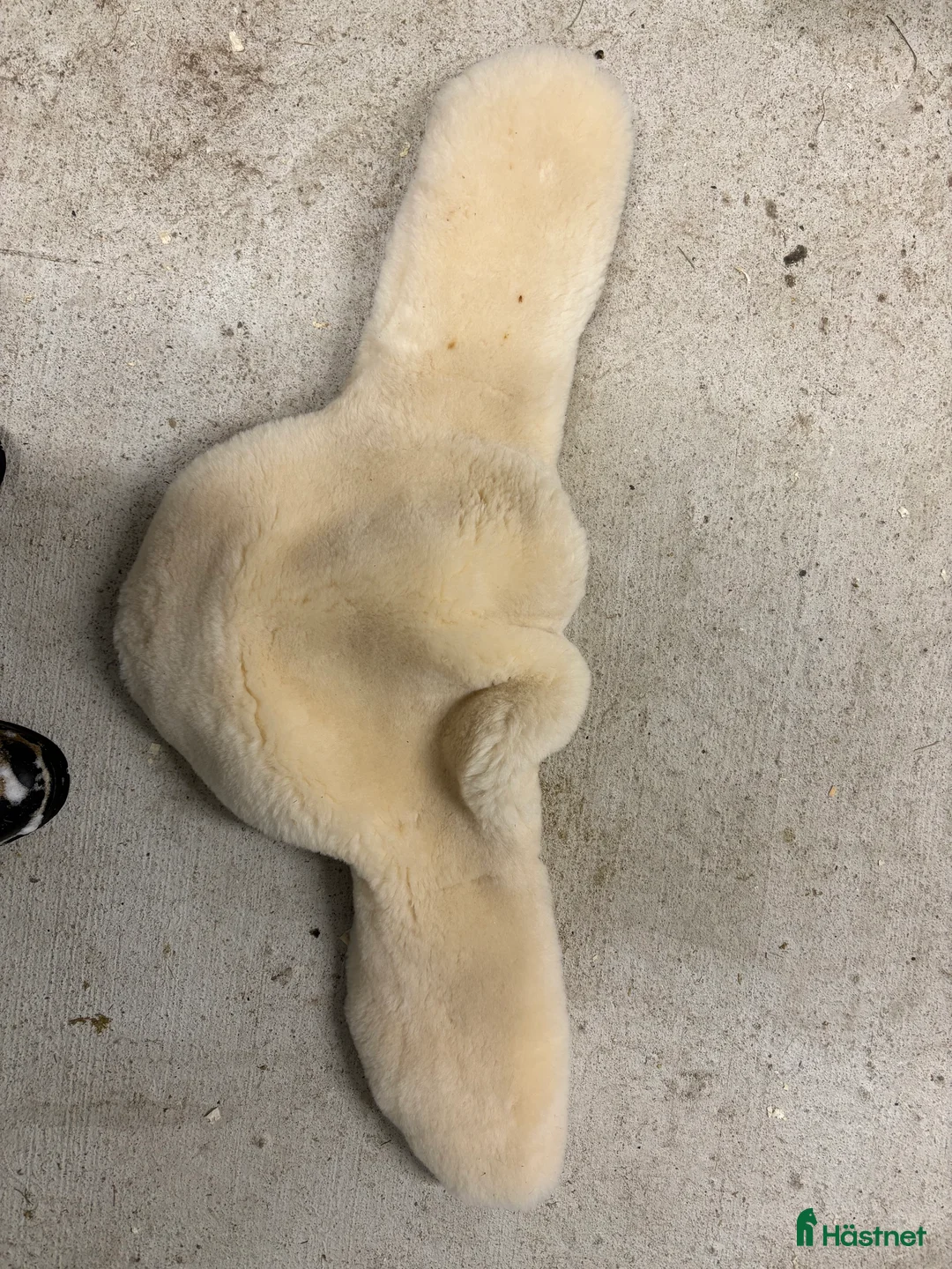 Övrig Ryttarutrustning ryttarutrustning till salu: Förbygel, fårskinnstunnel, stigläder i Vetlanda - Annons 1