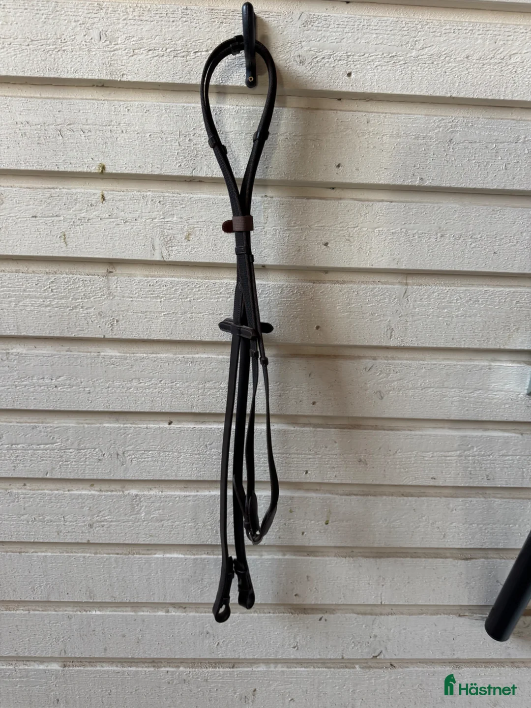 Träns hästutrustning till salu: SD Design Oanvänt Träns - Annons 3