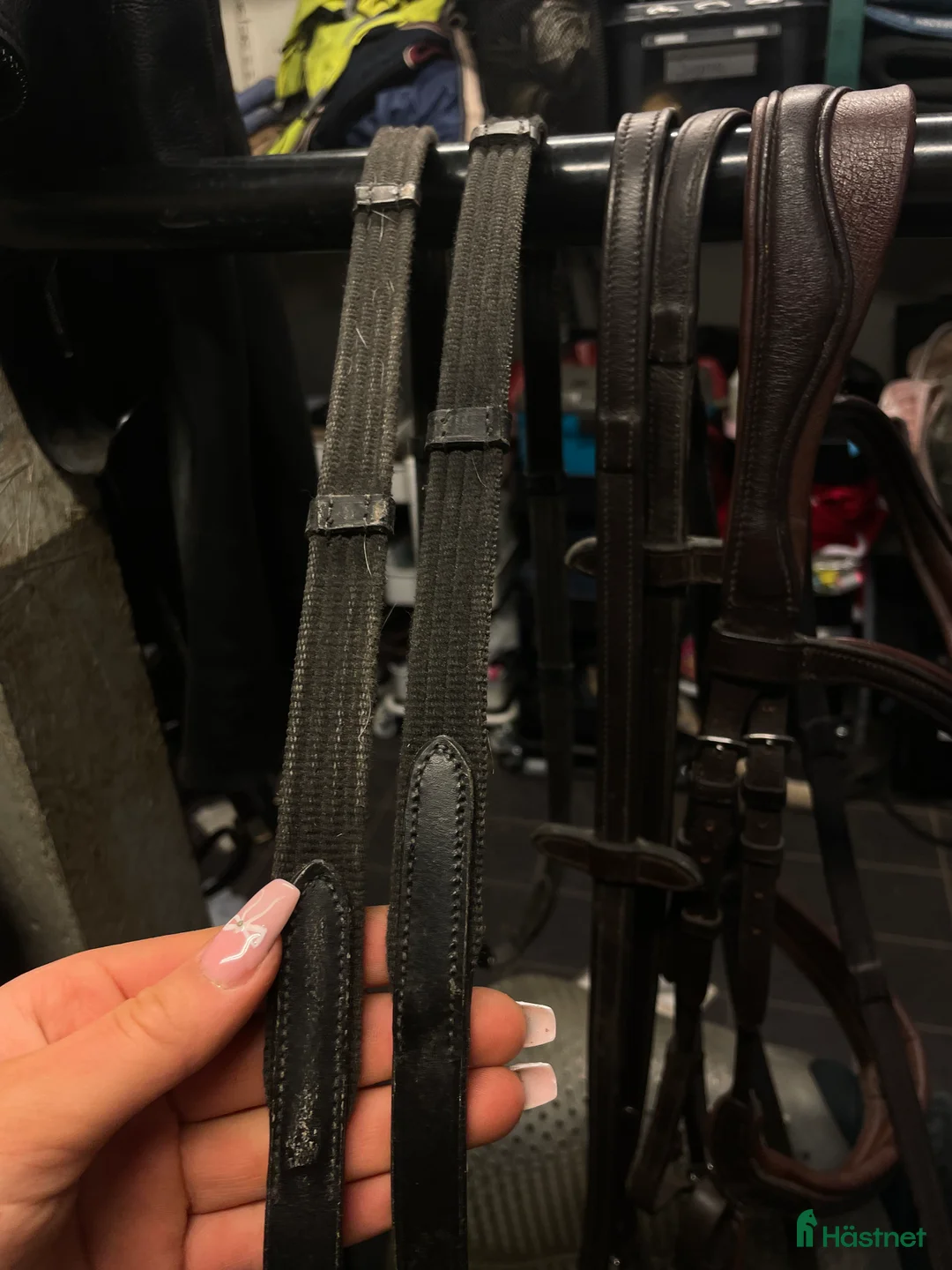 Övrig Hästutrustning hästutrustning till salu: Fynda/ byta? - Annons 7