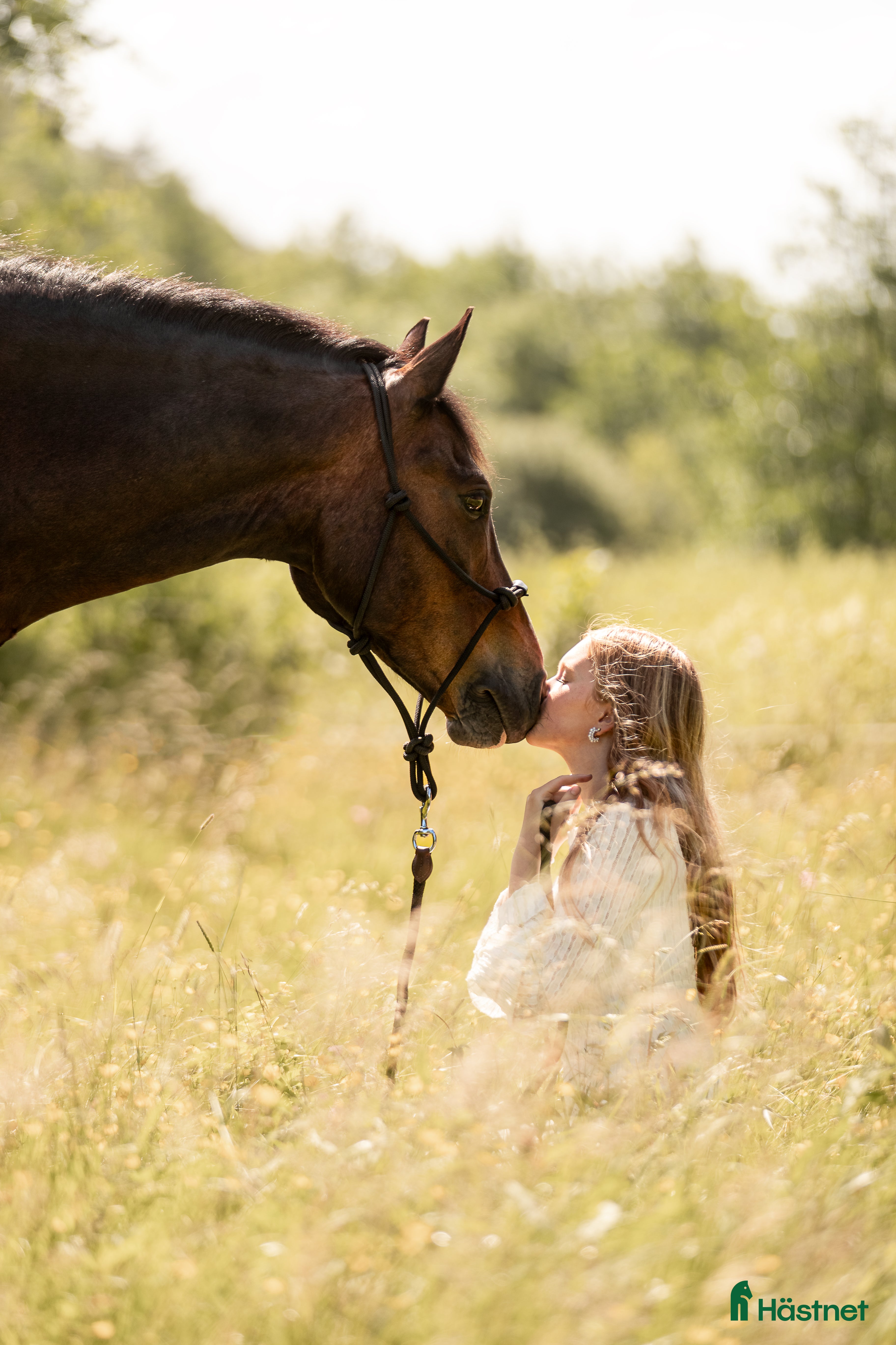 hästar Charmig C-ponny söker sin nya familj i Hålta - Annons 2